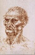 LEONARDO da Vinci Study of an old man oil painting picture wholesale